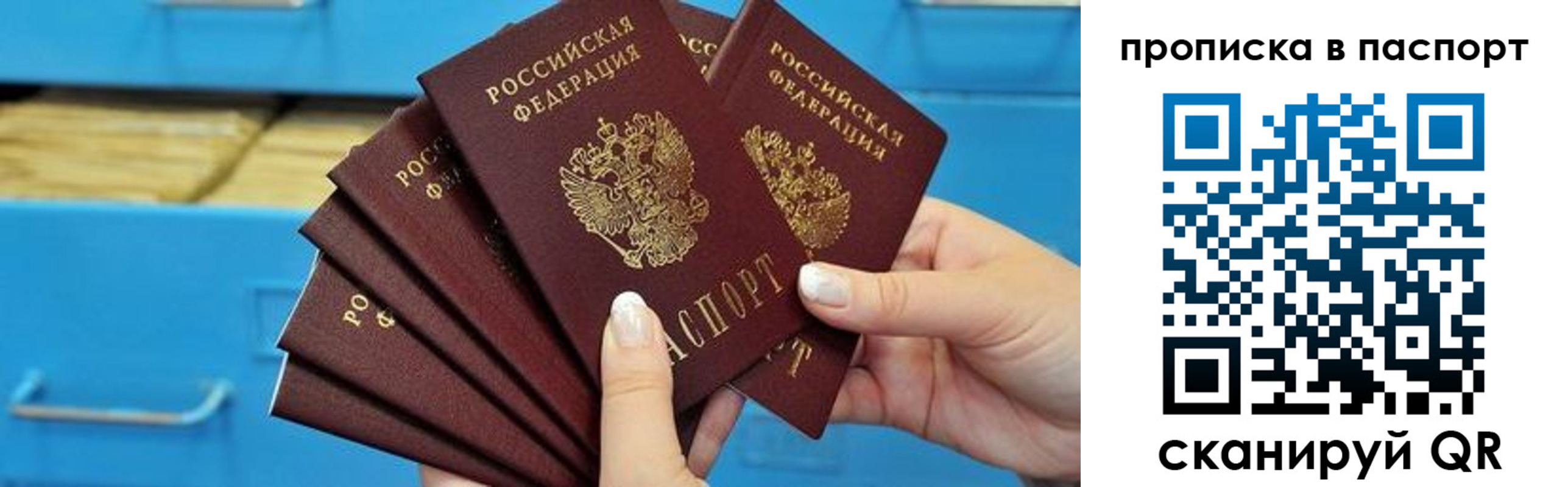 прописка в Бородино
