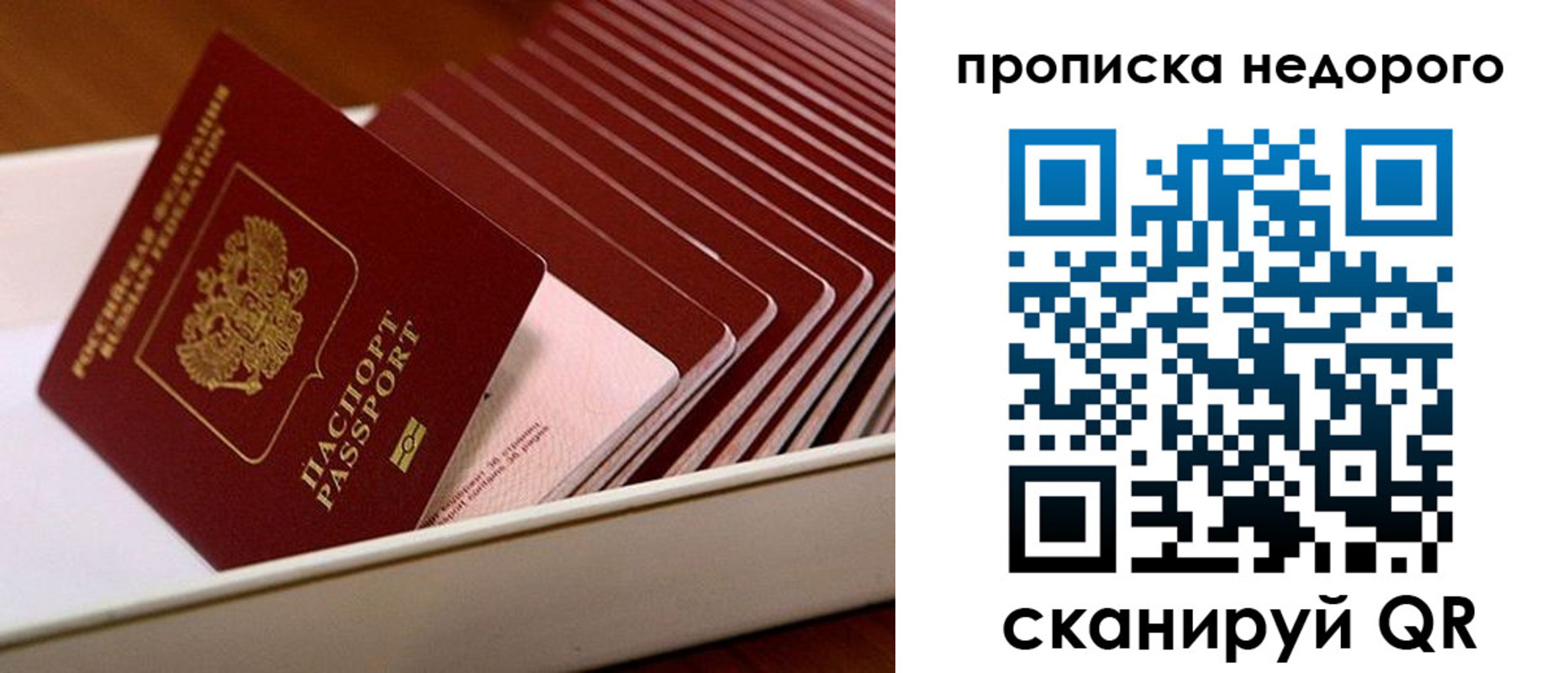 прописка паспорт в Бородино